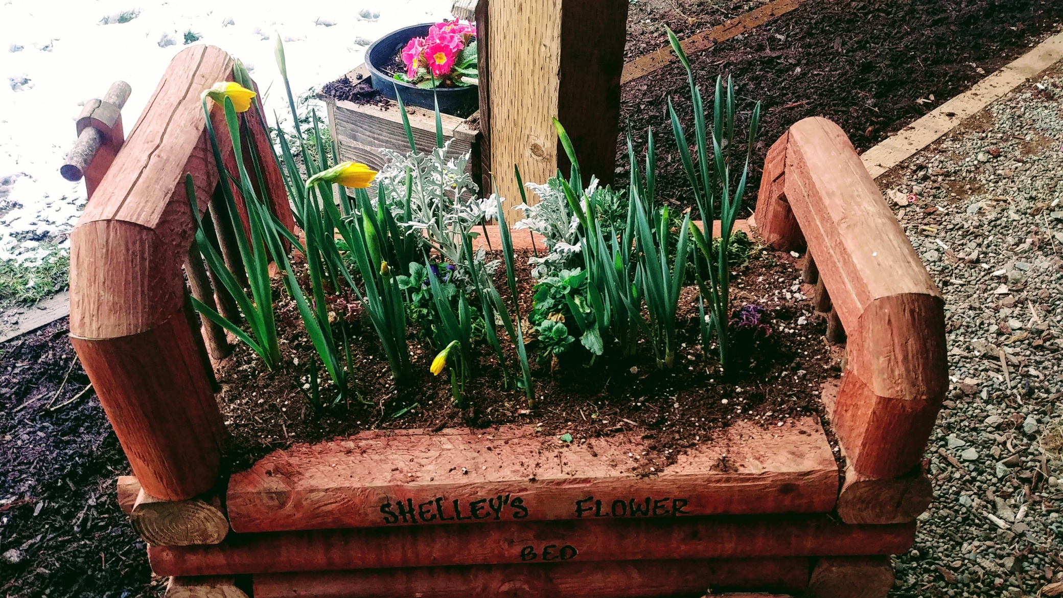Wagon in spring