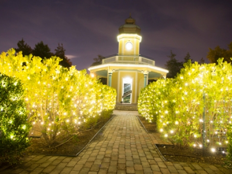 Missouri Botanical Gardens Garden Glow