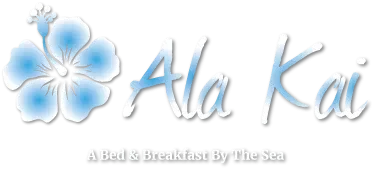 Book Now