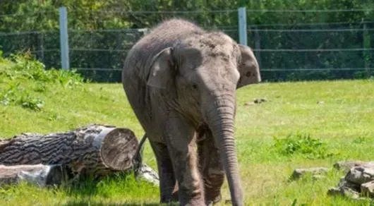 Blackpool Zoo