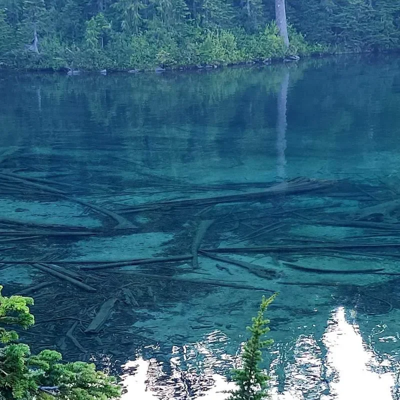 Lake Mowich