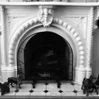 Gallery image 7
